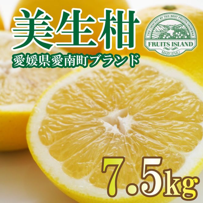 フルーツアイランド・マルエム青果の美生柑(みしょうかん) 7.5kg (なくなり次第終了)