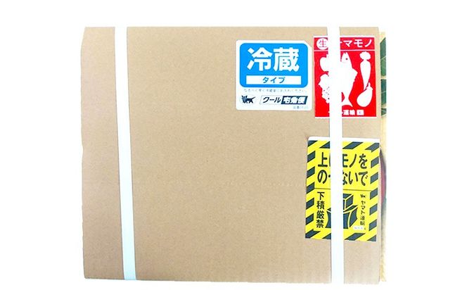 【2026年発送】大宜味村産 アーウィン種マンゴー　家庭用1.5キロ以上 フルーツ 果物 くだもの 果実 沖縄 大宜味村 食べ物 国産 南国 県産 産地直送 家庭用 まんごー トロピカル 送料無料 甘味 スイーツ お取り寄せ デザート マンゴー