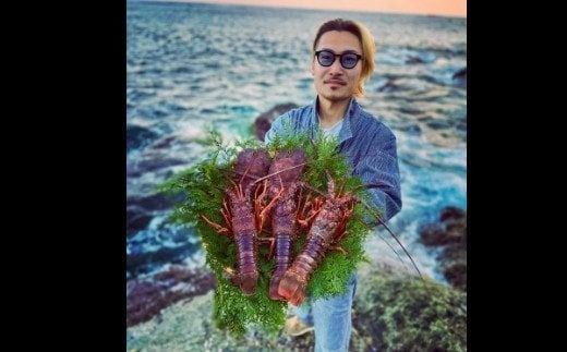 【天然】活伊勢海老３ｋｇ伊勢海老 伊勢エビ 伊勢 海老 エビ イセエビ 生きたまま 海鮮 お祝い ギフト 魚介 刺身 キャンプ BBQ 鮮魚 人気