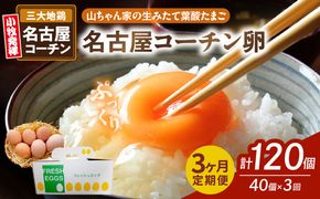 【3ヶ月定期便】【山ちゃん家の生みたて葉酸たまご】名古屋コーチン卵（40個入り）［132Y03-T］