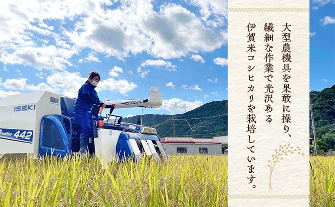 3姉妹が育てたお米　令和7年産　伊賀米コシヒカリ　2kg  三重県 名張市 特A 白米 精米 産直 農家 ご飯 ごはん 新米 寺田農園 こしひかり 令和7年 農家直送 産地直送 国産米 おにぎり 炊飯 おいしい 甘い 三重 清流