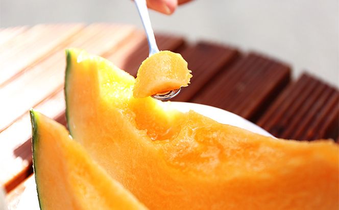 【2026年6月発送】富良野 メロン『NORTH PREMIUM』2玉 計約4kg以上 フルーツ 果物