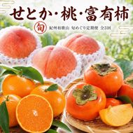 【3・7・11月 全3回】紀州和歌山産旬のフルーツセット（せとか・桃・富有柿） 定期便 【魚鶴】【UT72】 303446_XF91141
