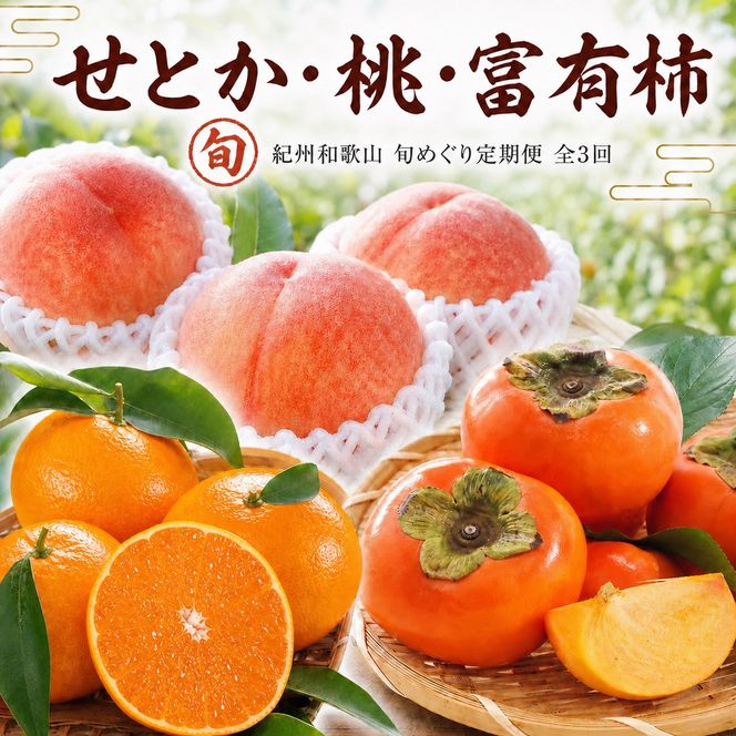 【3・7・11月 全3回】紀州和歌山産旬のフルーツセット（せとか・桃・富有柿） 定期便 【魚鶴】【UT72】 303446_XF91141