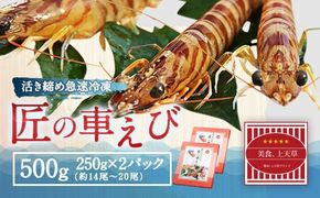 匠の 車えび 【活き締め急速冷凍】 500g （14尾～20尾） 車海老 クルマエビ えび 海老 エビ 魚介 海鮮 冷凍 年内配送 年内発送 年末発送