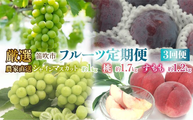 ＜25年発送先行予約＞笛吹市産　厳選!農家直送「フルーツ定期便3回便」 205-011