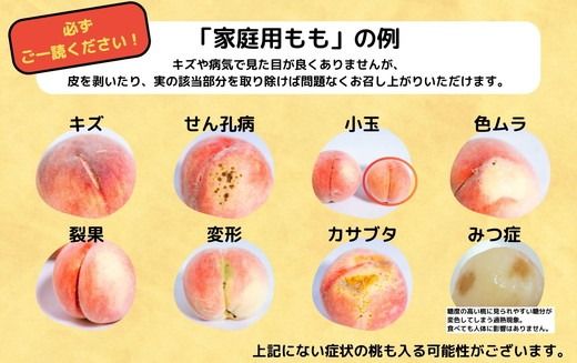 ◆2025年夏発送◆＜家庭用　約1.5kg×2回＞ ｜ 先行予約 予約 数量限定 桃 もも モモ 果物 くだもの フルーツ 詰め合わせ 福島 ふくしま　※離島への配送不可　※2025年7月上旬～8月中旬頃に順次発送予定