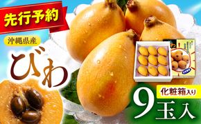 【2027年発送・先行受付】 【化粧箱入り】 沖縄産びわ (500g・9玉入り) フルーツ 果物 ギフト お取り寄せ 沖縄産 沖縄市 / ちゃんぷる〜市場[BCAA008]
