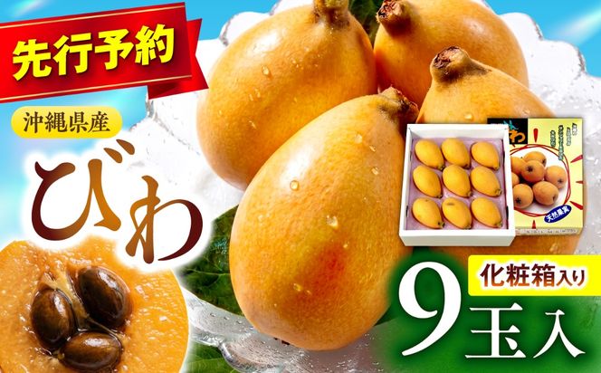 【2027年発送・先行受付】 【化粧箱入り】 沖縄産びわ (500g・9玉入り) フルーツ 果物 ギフト お取り寄せ 沖縄産 沖縄市 / ちゃんぷる〜市場[BCAA008]