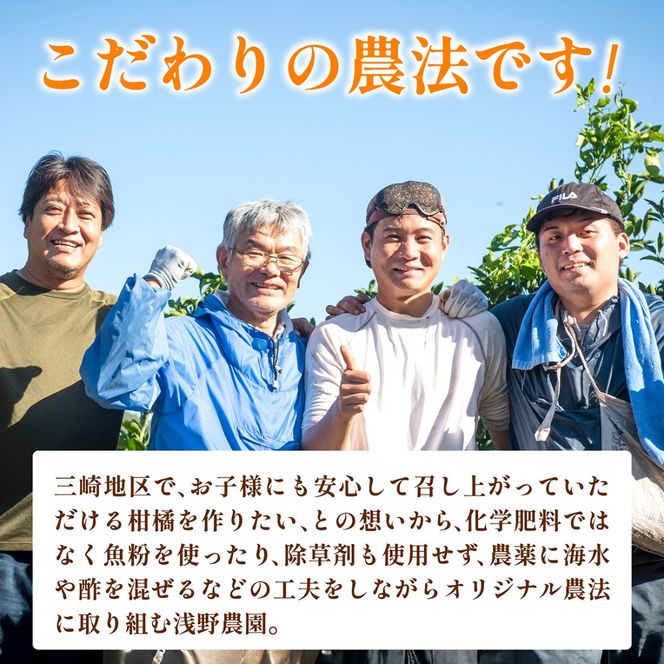 【先行予約】【数量限定】浅野農園の愛果28号（まどんな）家庭用計5kg※離島への配送不可（2026年12月中旬～2027年1月中旬頃に順次発送予定）IKTAC025
