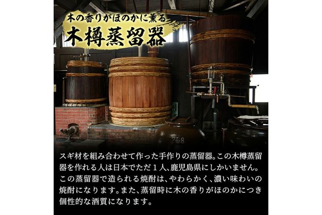 a765 白金酒造おすすめ6本セット 大(各1800ml)【南国リカー】