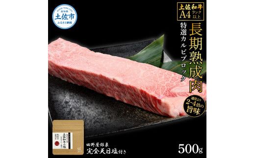 土佐和牛 特選カルビブロック500g 田野屋銀象完全天日塩1P付き 特選 長期熟成肉 田野屋銀象 完全天日塩付き カルビ 牛肉 ブロック 肉 お肉 和牛 国産 牛【株式会社LATERAL】 [BQAU042]
