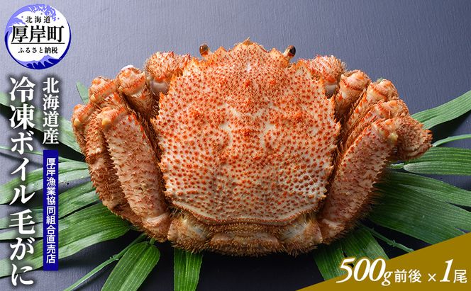 カニ 3D冷凍 北海道産 冷凍 ボイル 毛がに 500g前後×1尾 【厚岸漁業協同組合】[ 毛カニ 蟹 毛ガニ カニ かに ] 