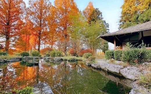 太宰府ゴルフ倶楽部 ゴルフ利用券 9,000円分 ／ ゴルフ ゴルフ場 ゴルフ場利用券 チケット 券 ゴルフプレー スポーツ 九州 福岡県 太宰府市