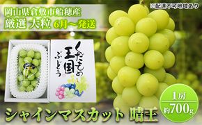 【2026年先行予約】 ぶどう 岡山県産 シャインマスカット 晴王 厳選 1房 約700g 大房 岡山県 倉敷市 船穂産 《2026年6月中旬-7月上旬頃出荷》 葡萄 ブドウ フルーツ 果物 スイーツ 数量限定 期間限定 里庄町 