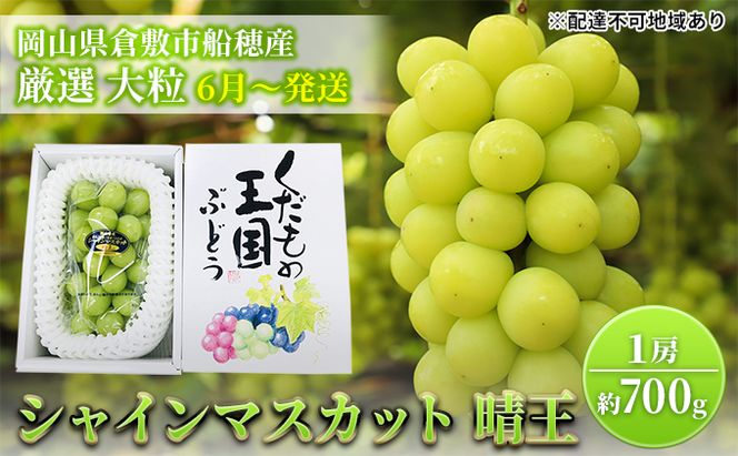 【2026年先行予約】 ぶどう 岡山県産 シャインマスカット 晴王 厳選 1房 約700g 大房 岡山県 倉敷市 船穂産 《2026年6月中旬-7月上旬頃出荷》 葡萄 ブドウ フルーツ 果物 スイーツ 数量限定 期間限定 里庄町 