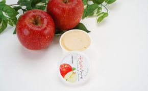 大河原町産ふじりんごジェラート10個セット ジェラート アイス りんご リンゴ 林檎 ふじ 菓子 お菓子 おやつ スイーツ デザート 宮城県 大河原町