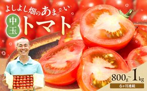 【6ヶ月連続 お届け】 よしよし畑のあま～い トマト ( 中玉トマト ) 800g ～ 1kg 計約3kg 程度 新鮮 産地直送  とまと 頒布会 定期便 おいしい おすすめ ギフト お取り寄せ