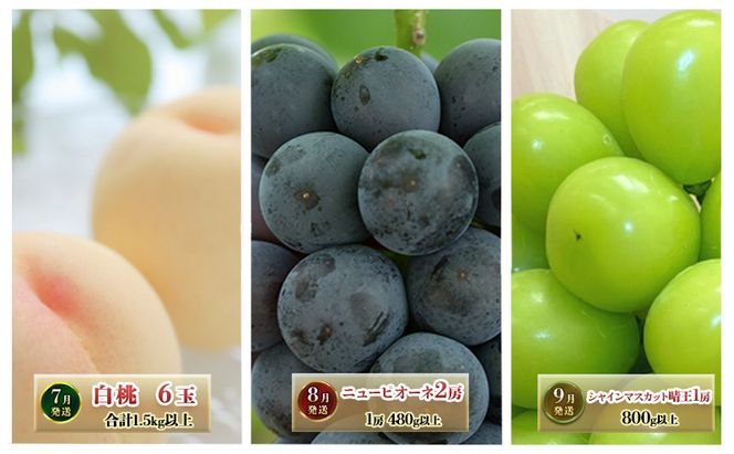 フルーツ 定期便 2026年 先行予約 晴れの国 岡山 の 定期フルーツ定期便 3回コース桃 もも 葡萄 ブドウ 岡山県産 国産 セット ギフト 