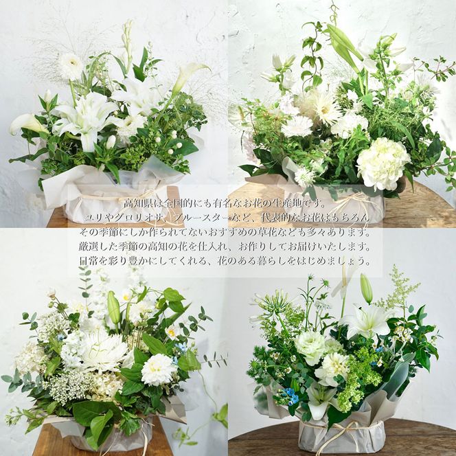 【CF-R7hbk】t177tmf　《12ヵ月定期便》生花アレンジ お供え 供花L 定期便 定期コース 全12回 フラワーアレンジメント そのまま飾れる お供え 花束 生花 仏花 供花 花束 花 法要 お盆 季節のお花 供花 お供え
