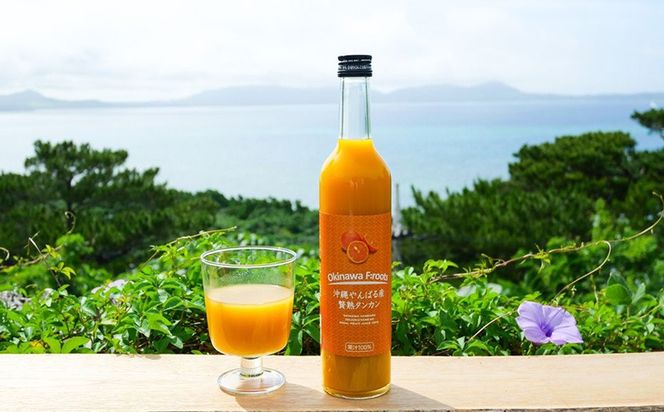 沖縄の贅沢ジュース 12本 （青切シークヮサー・黄金シークヮサー・タンカン 各4本）KS1008 青切り 黄金 くがに シークヮーサー タンカン みかん ビタミンC ノビレチン 酸味 調味料 ジュース 飲み物 調理 果物 くだもの ご当地 やんばる カクテル トロピカル 南国