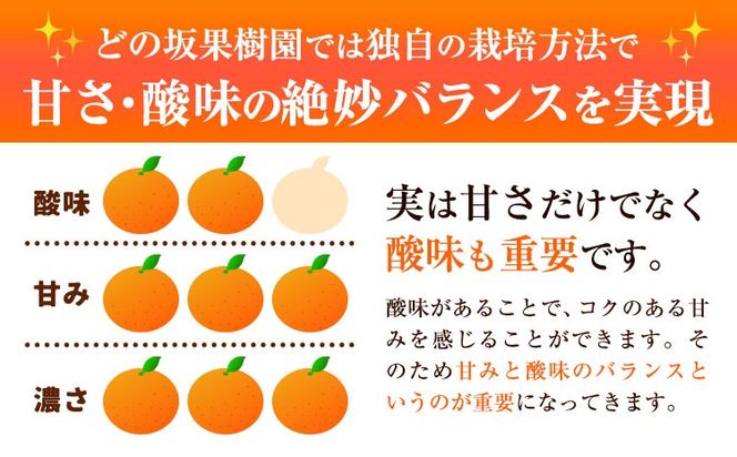 早生 みかん 約 5kg (2S～Lサイズ) どの坂果樹園《12月上旬-2027年2月上旬頃出荷》 和歌山県 日高町 みかん 早生 旬 柑橘 フルーツ 果物 蜜柑 ミカン 先行予約--- wsh_dsk52_12j2j_25_10000_5kg---
