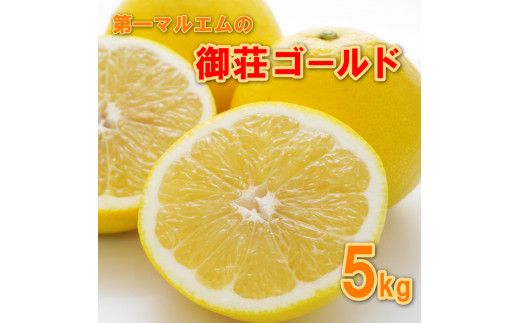 先行予約 御荘ゴールド (河内晩柑) 秀品 5kg 第一マルエム 減農薬 柑橘 フルーツ 愛媛県 愛南町 発送期間：2026年3月中旬～順次発送
