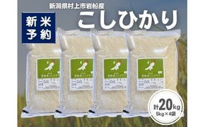 【新米受付・令和8年産米】新潟県村上市岩船産 コシヒカリ20kg（5kg×4袋）1099016N