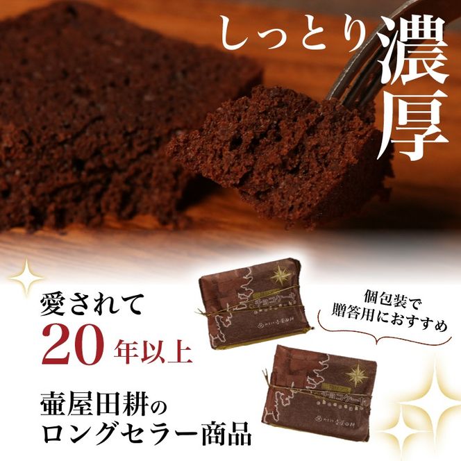 三陸リアスチョコレートケーキ 10個 | 菓子 洋菓子 ケーキ スイーツ チョコ チョコレート デザート おやつ おかし 小分け 贈答 のし プレゼント ギフト 和菓子 和菓子屋 壷屋田耕 三陸 岩手県 大船渡市 [tsuboya008]