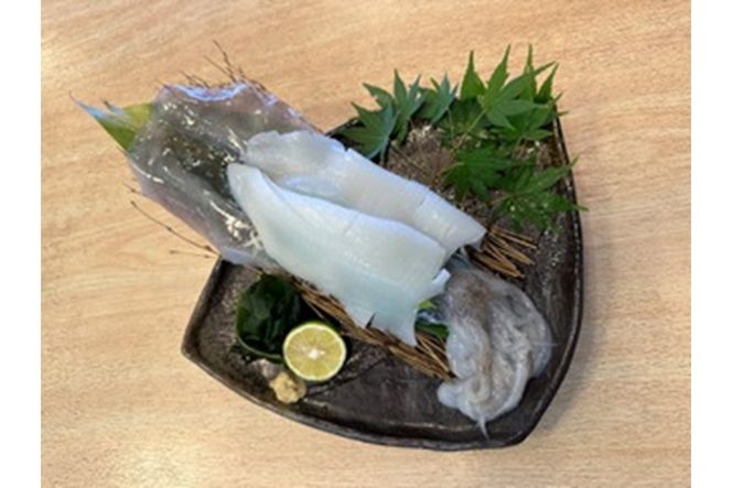 ys{OszsEvlY AICJ̎p@EK00012