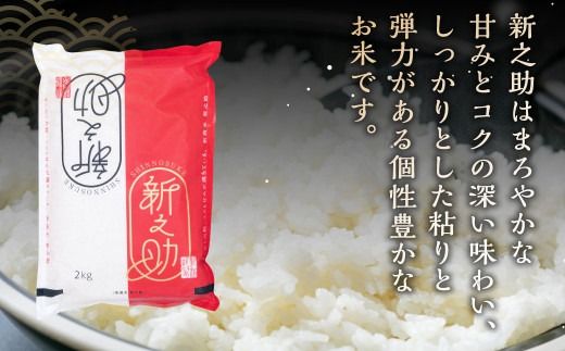 【令和7年産米】【6ヶ月定期便】村上市産 新之助 36kg （6kg×6ヶ月）コース 1027037