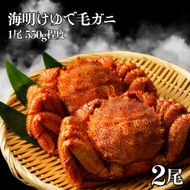 44-60 海明けゆで毛ガ二2尾(1尾550g程度)×2