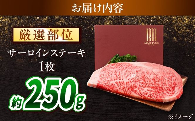 【A4〜A5】長崎和牛 サーロインステーキ 250g / さーろいん 牛肉 ぎゅうにく すてーき / 南島原市 / 株式会社MEAT PLUS[SHG028]