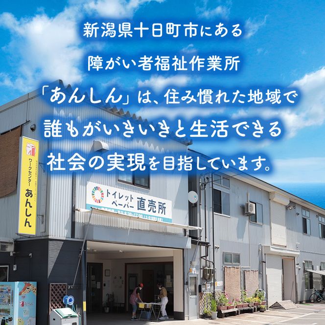 トイレットペーパー定期便「包装なしA」【障がい者支援の返礼品】 雑貨 日用品 生活支援 サポート 