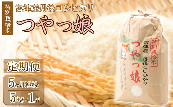 【定期便・全5回】令和7年産 特別栽培米「つやっ娘」 5kg×全5回　宮津産丹後コシヒカリ　発送月固定（4月・5月・6月・7月・8月配送）│新生活 応援 産地 直送 精米 白米 コメ こしひかり 5kg 5回 25kg 京都 天橋立