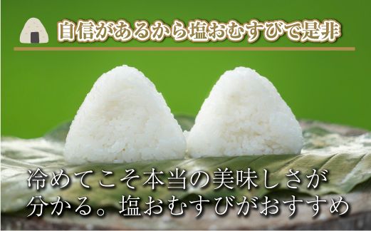 【令和8年産 先行予約】【定期便／全6回】無洗米3kg 新潟県魚沼産コシヒカリ「山清水米」