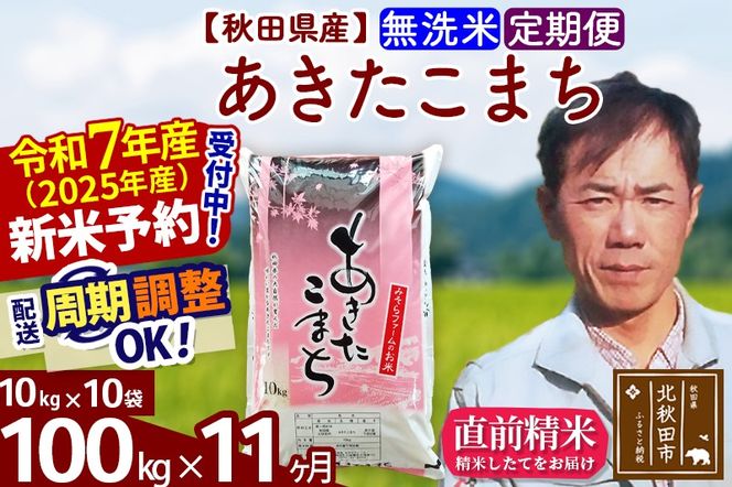 ※令和7年産 新米予約※《定期便11ヶ月》秋田県産 あきたこまち 100kg【無洗米】(10kg袋) 2025年産 お届け周期調整可能 隔月に調整OK お米 みそらファーム|msrf-31711