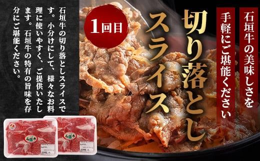 【全３回 定期便B】 石垣牛　切り落としスライス・ハンバーグ・肩ロースすきしゃぶ　計1.67kg（いしなぎ屋）【 特選肉 肉 高級 黒毛和牛 和牛 牛 】AB-030
