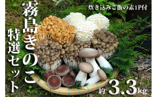 【農場直送】もぎたて霧島きのこと炊き込みご飯の素セット　約3.3kg