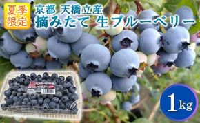 【ふるさと納税】令和8年夏季予約販売 摘みたて 生ブルーベリー 1kg 〈お届け：2026年8月末まで 〉フルーツ ブルーベリー
