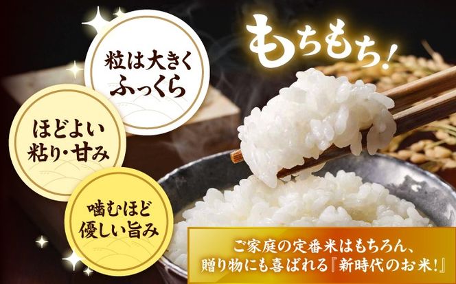 にじのきらめき 白米 10kg【配達不可：離島】/ 脇野コンバイン[AECP040-07]
