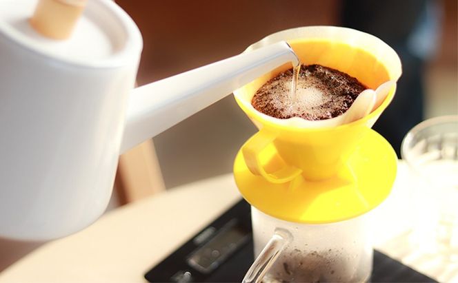 コーヒー 【4ヶ月定期便】自家焙煎 季節のおすすめ コーヒー豆 3種セット 100g×3種 計4回お届け / コーヒー 珈琲 coffee ブレンド コーヒー豆 定期便 コーヒー定期便【aubless013】