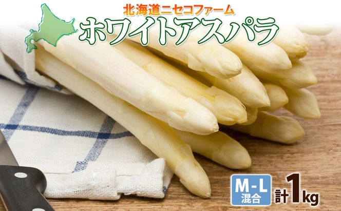 【 2026年 発送 】 北海道産 アスパラガス ホワイト 約 900g M - L サイズ 混合 アスパラ 旬 朝採り 新鮮 お取り寄せ 産地直送 産直 野菜 農作物 詰め合わせ 国産 北海道 倶知安町
