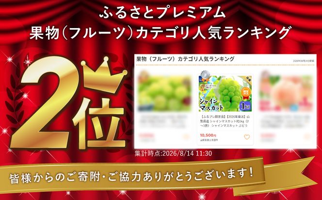 【2027年発送 先行予約】山梨県産 シャインマスカット　【選べる容量 約500g / 約1kg / 約2.5kg】　フルーツ くだもの 果物 ぶどう シャイン マスカット 産地直送 ブドウ 山梨 富士吉田