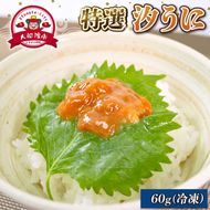 汐うに 60g 特選 潮うに 塩うに 三陸産ウニ ウニ丼 ウニ うに 雲丹 魚介 海産物 海の幸 うに丼 おにぎり おつまみ 酒の肴 刺身 刺し身 惣菜 加工品 ご飯のお供 ウニ 国産 三陸 応援 お取り寄せ グルメ 1万円 10000円 岩手県 大船渡市 送料無料