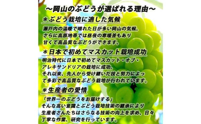 ぶどう 2026年 先行予約 シャイン マスカット 【9月上旬～順次発送分】約2kg 糖度抜群！ ブドウ 葡萄  岡山県産 国産 フルーツ 果物 ギフト 果物類 