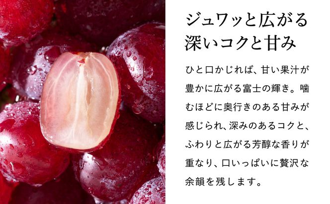 【2026年先行予約】豊岡ぶどう 富士の輝き 600g / 豊岡ブドウ 産地直送 濃厚 甘味 コク 皮ごと 食べられる 減農薬 ぶどう ブドウ 葡萄 果物 くだもの フルーツ ふくい農園