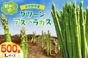 【期間限定発送】 アスパラ グリーンアスパラガス L 500g [ファームいまむら 福岡県 筑紫野市 21761484] アスパラガス グリーンアスパラ 野菜
