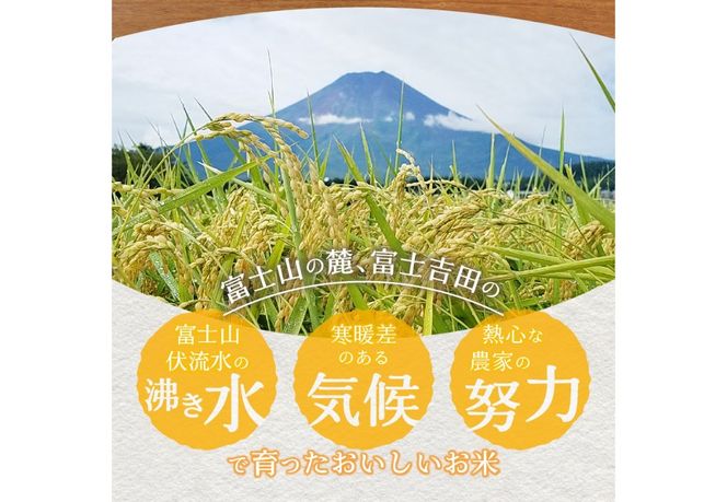 令和8年産 米 5kg 富士吉田市産 『美富士の夢来ゴールド』選べる種類 【 精米 / 無洗米 】  白米 こめ 希少米 極上 五ッ星 厳選 山梨 富士吉田