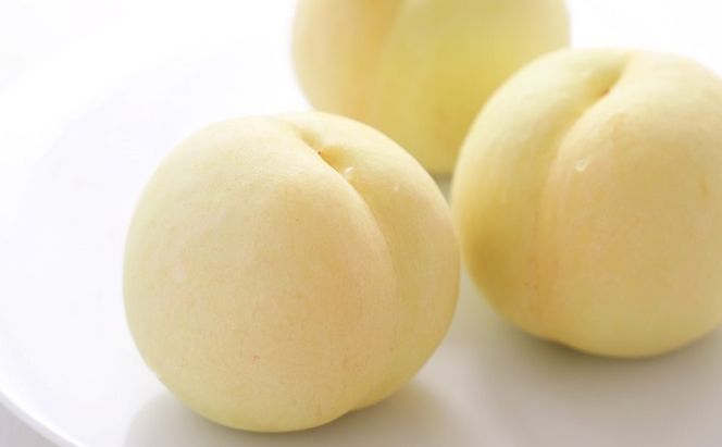 桃 2026年 先行予約 岡山 白桃 8玉 約1.8kg 等級：ロイヤル（1玉 220g以上） もも モモ 岡山県産 国産 フルーツ 果物 ギフト デザート 岡山の桃 